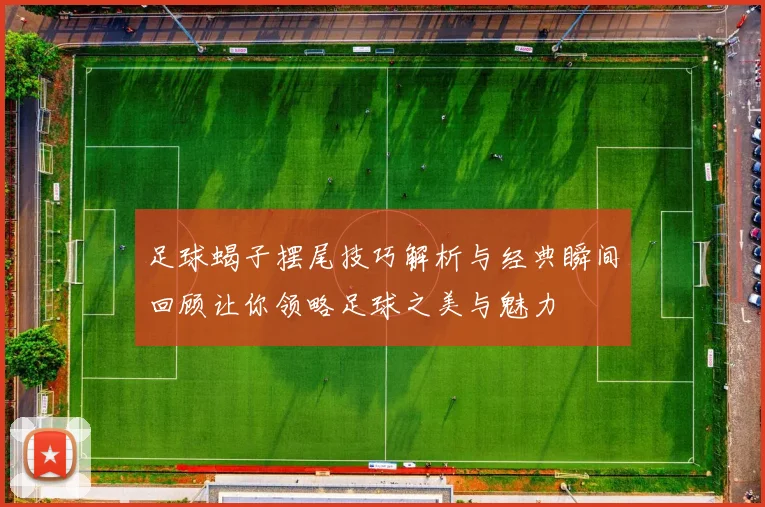 足球蝎子摆尾技巧解析与经典瞬间回顾让你领略足球之美与魅力